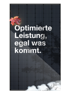 Sonnenkraft KPV 440Wp HC Maxim black 4 mm Glas-Modul,...